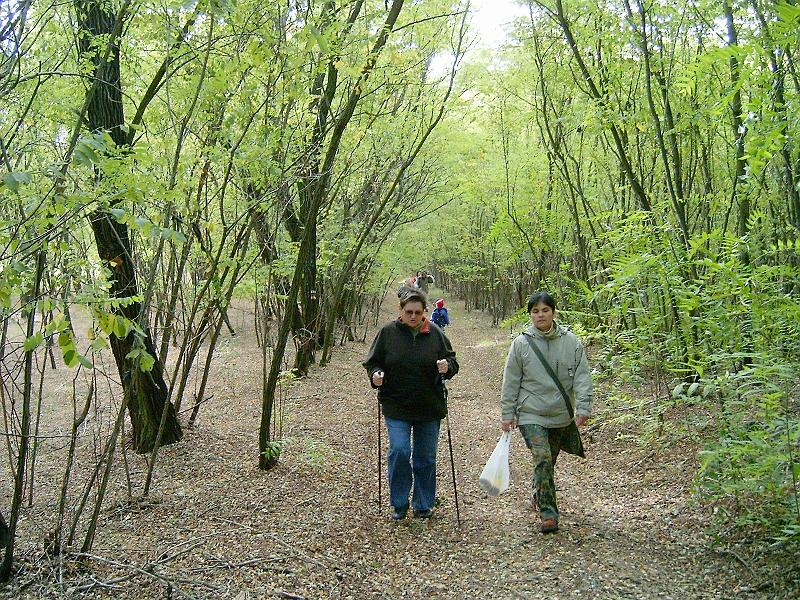 2010.10.10. 038.jpg